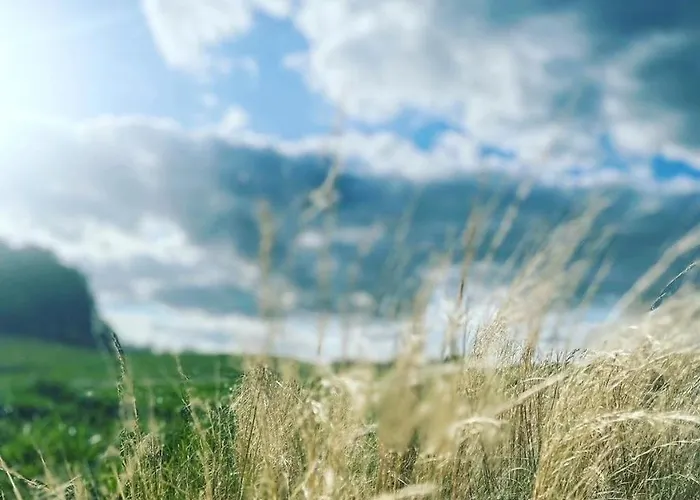 Seeadler Apartment Goehren-Lebbin